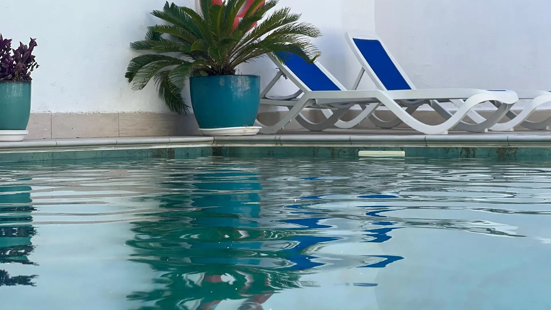 Ancla Real Apartamentos Loft El Puerto de Santa Maria